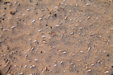 A desert land that was under the sea since ancient times