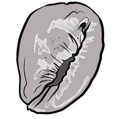 Freehand illustration of sea shell isolated on white background. Marine illustration blank, template for designer for printing badge, logo