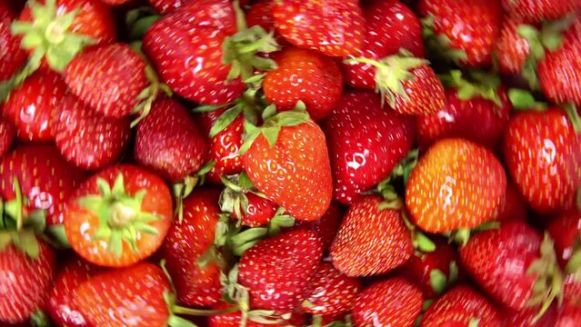 Fresh strawberries background 360 degrees rotation, flat lay. 