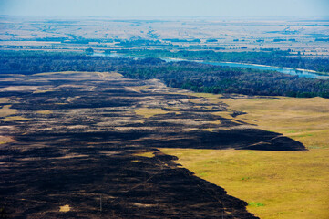 Scorched trees and grass after the fire. Aerial view