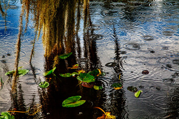 Rain drops on the canal