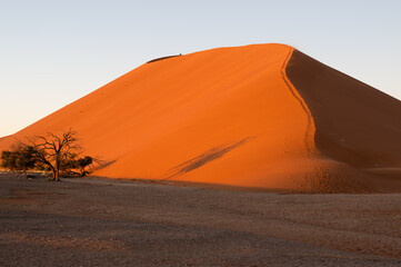 Fototapeta na wymiar Dune No.45 at sunrise. Most popular dune in the whole World, Namibia, Africa