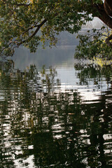 Kali river at Dandeli forest, Karnataka, India.