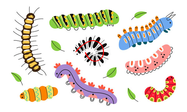 Set of spring, summer colorful caterpillars, centipede. Different silhouettes of cute caterpillar, small maggot move. Funny insects, garden and forest animal. Hand drawn flat vector illustration.