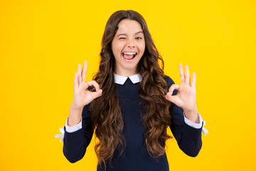 Excited face. Smiling teen girl, young teenager showing ok hand sign and winking looking at camera...