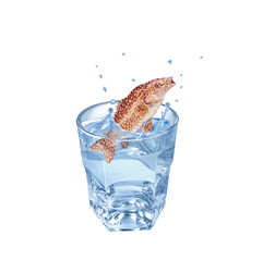 vieille , poisson, évasion, eau, en verre, boire, clapoter, glace, isolé, liquide, abattre, blanc, froid, bleu, éclaboussure, bouillonner, transparent, clair, cool, frais, humide, propre, rafraîchisse