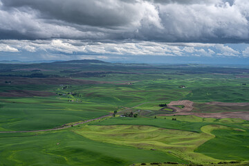 Palouse in Late Spring in Washington State