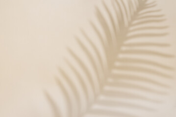 Abstract background with tropical palm leaves shadow on beige wall, Creative minimal design with...
