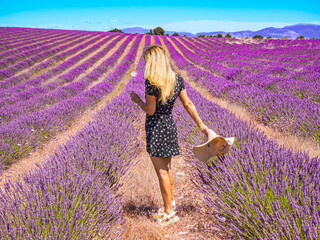 A lavender field in Provence, southern France, with a girl in a floral dress and hat amIdst purple lavender.