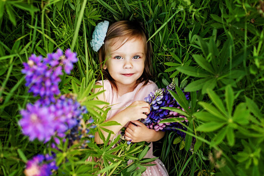 portrait of cute little happy two year old kid girl with bloom flowers lupines in field of purple flowers. Child in nature concept. Summer vacation holidays. Spring allergy season. Childhood