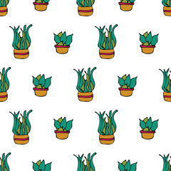Vector white background plant in pot, succulents seamless pattern. Seamless pattern background