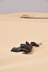 Viana-Wüste auf Boa Vista / Kapverdische Inseln / Viana Desert on Boa Vista / Cape Verde Islands