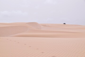 Viana-Wüste auf Boa Vista / Kapverdische Inseln / Viana Desert on Boa Vista / Cape Verde Islands
