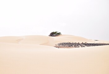 Viana-W&uuml;ste auf Boa Vista / Kapverdische Inseln / Viana Desert on Boa Vista / Cape Verde Islands