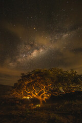 stars and milky way in the district of Lapinha da Serra, in the city of Santana do Riacho, State of...
