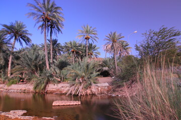 the place is beautiful , with mountains, rocks , small fish