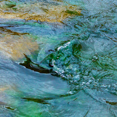 water and rocks