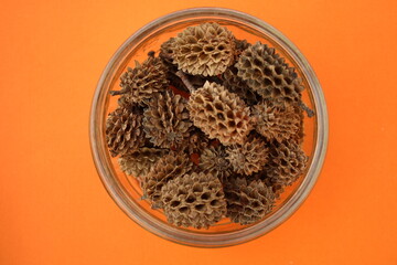 Sandalwood cone shaped potpourri in a round dish on an orange background