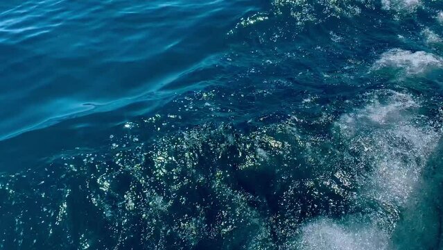 I can sea