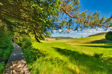 Landschaft bei Lauterbach im Sulzbachtal im Schwarzwald