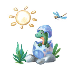 Watercolor dinosaur baby in egg. Animal kid, sun, dragonfly, stone and green plants.