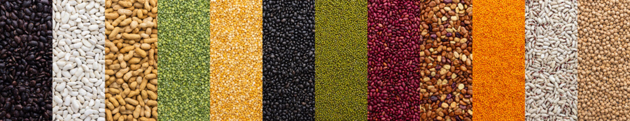 Banner of different types of legumes , chickpeas and peas, colorful beans and lentils, mung beans and peanuts, top view