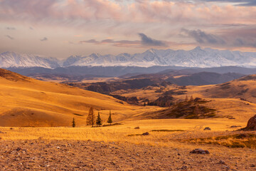 Beautiful autumn forest with snow peaks mountains Chuysky tract, Altai Kurai steppe Russia
