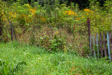 an old combined fence in the village