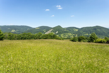 Fototapeta premium Slovakia summer nature Strazov green tree blue sky