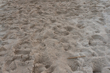 The surface of the beach is close up.