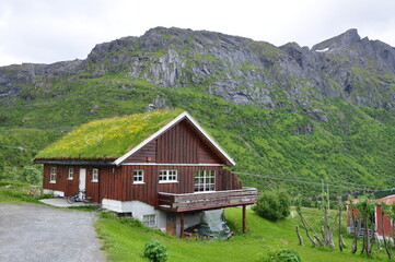 Fototapeta na wymiar Norway landscape - nature and life