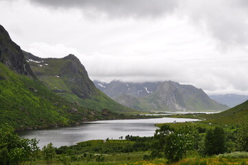 Norway landscape - nature and life