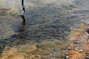 Mammoth Hot Springs Yellowstone National Park