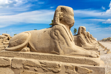 Sphinx Allee in Luxor, Egypt