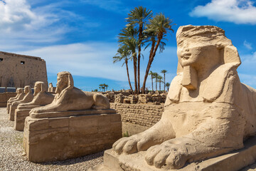Sphinx Allee in Luxor, Egypt