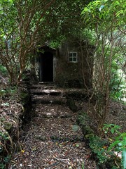Old ladder house overgrown with different types of vegetation