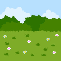Green field with grass. Lawn with bushes and sky. Background for nature