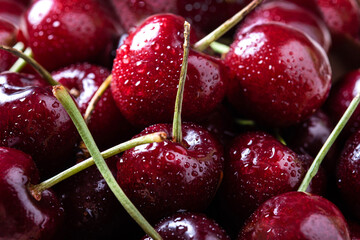 Fresh cherries with water drops in wooden bowl. Close up