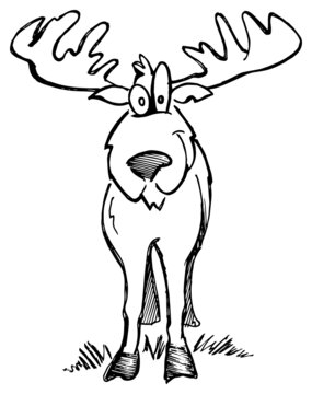 Moose cartoon