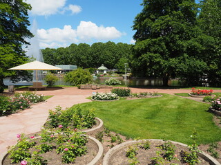 Fototapeta premium Rosengarten in Zweibrücken