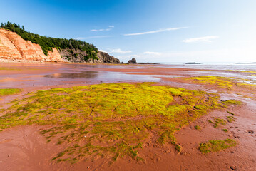 Five Islands Provincial Park, low tide in the Bay of Fundy reveals ocean floor