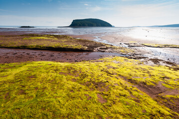 Low tide, Five Islands Provincial Park, View of the Bay of Fundy with an island on the horizon