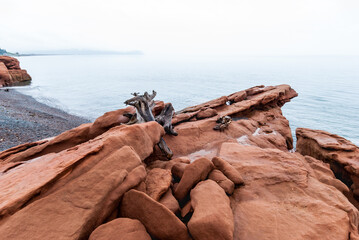 Red rocks of Cape Chignecto.
