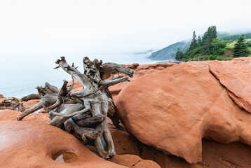 Big red rock and driftwood at a bay of Cape Chignecto, foggy morning