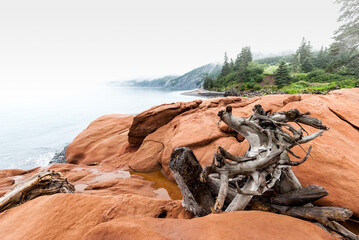 Big red rock and driftwood at a bay of Cape Chignecto.