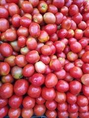 close up of red tomatoes