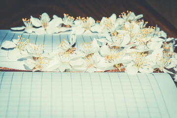 Spring notebook in flowers. Notepad with flowers. Flowers on writing paper
