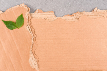 Corrugated cardboard texture as eco background for ecological project or paper mill industry. Carton background with copy space for text and green leaves as a symbol of sustainable packaging © Iryna Mylinska