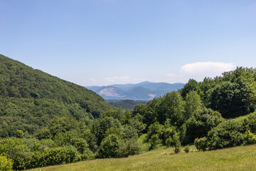 Slovakia summer nature green tree blue sky
