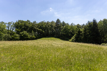 Slovakia summer nature green tree blue sky